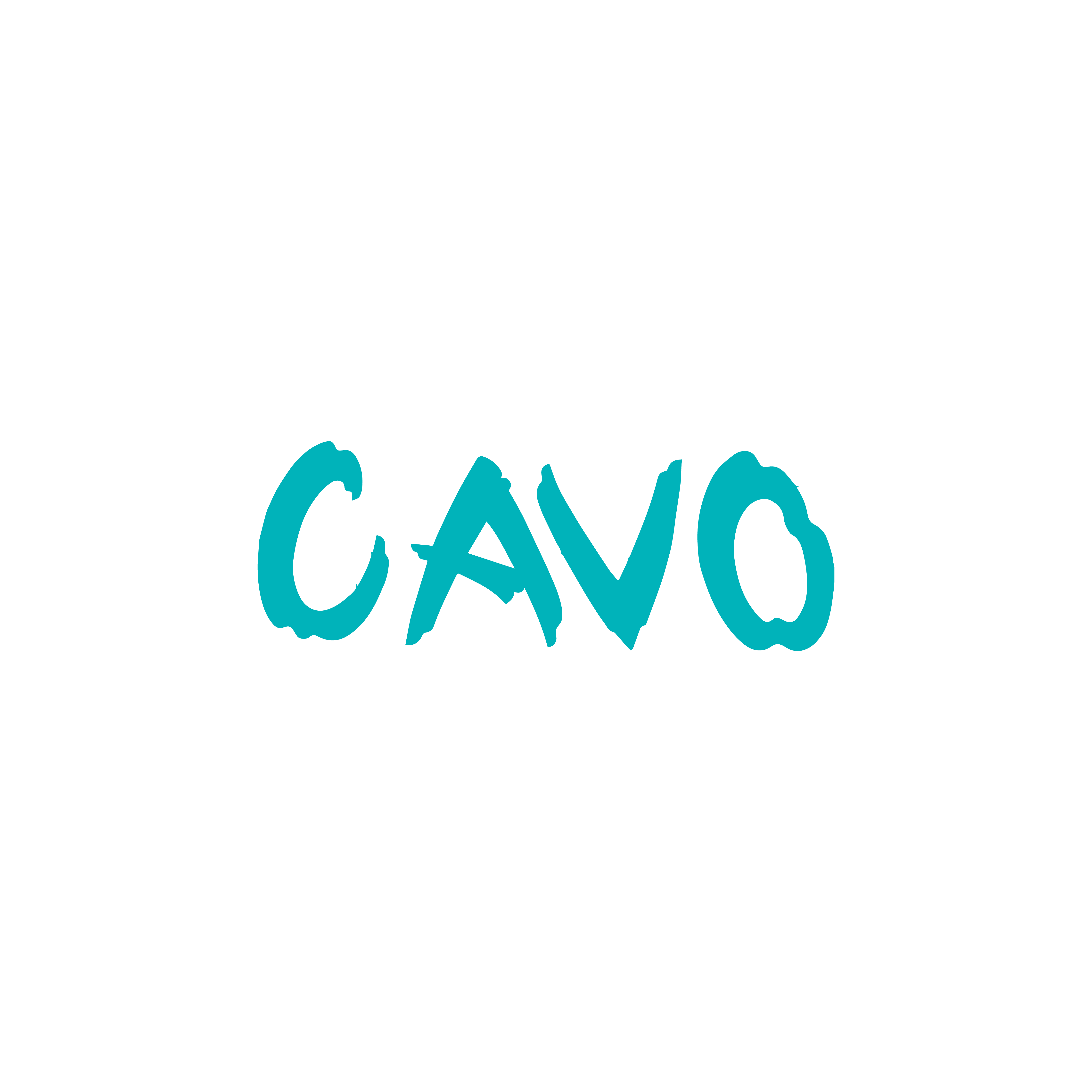 cavo new-04